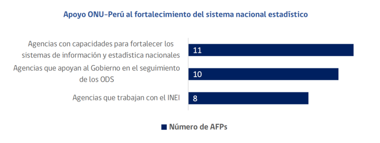Apoyo ONU